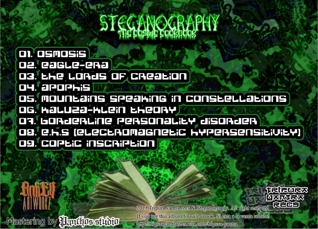 00-Steganography - The Cosmic Cookbook  -2013-(back)-upe.jpg